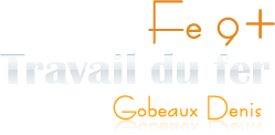 Fe9+ — Denis Gobeaux